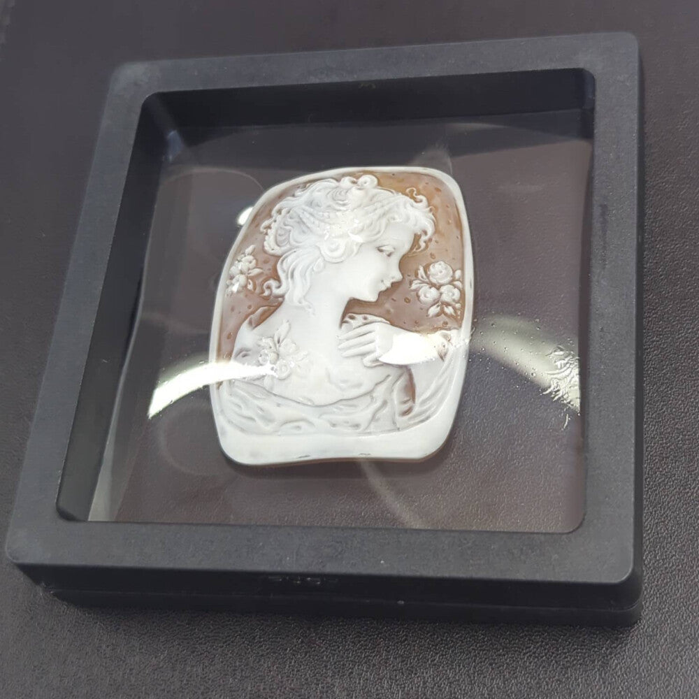 カメオ(シェル・ストーン) ルース