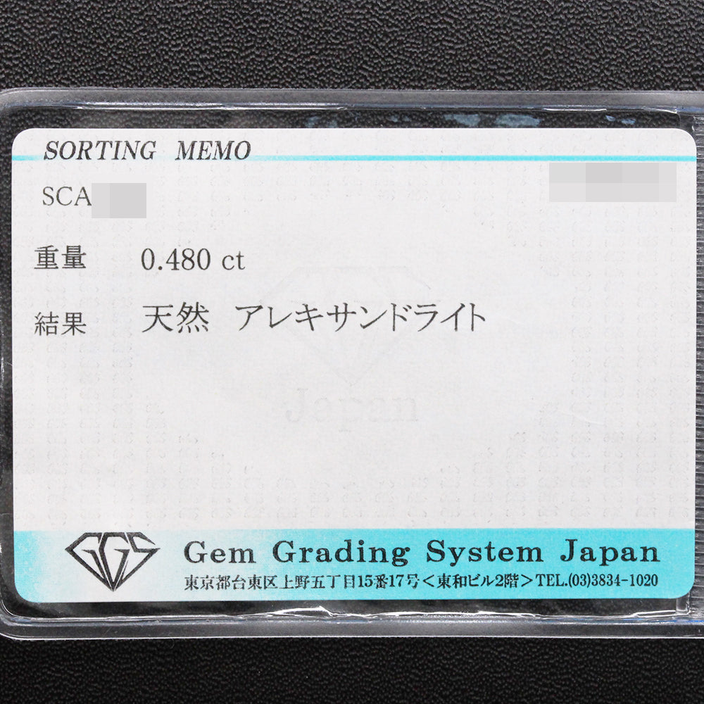 名執 佐結理 ルース