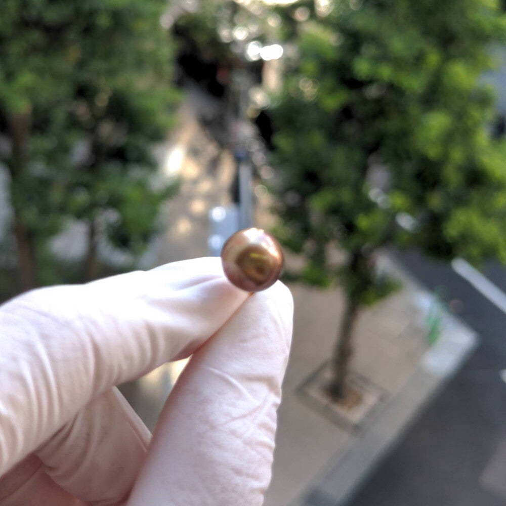 真珠(パール) ピアス