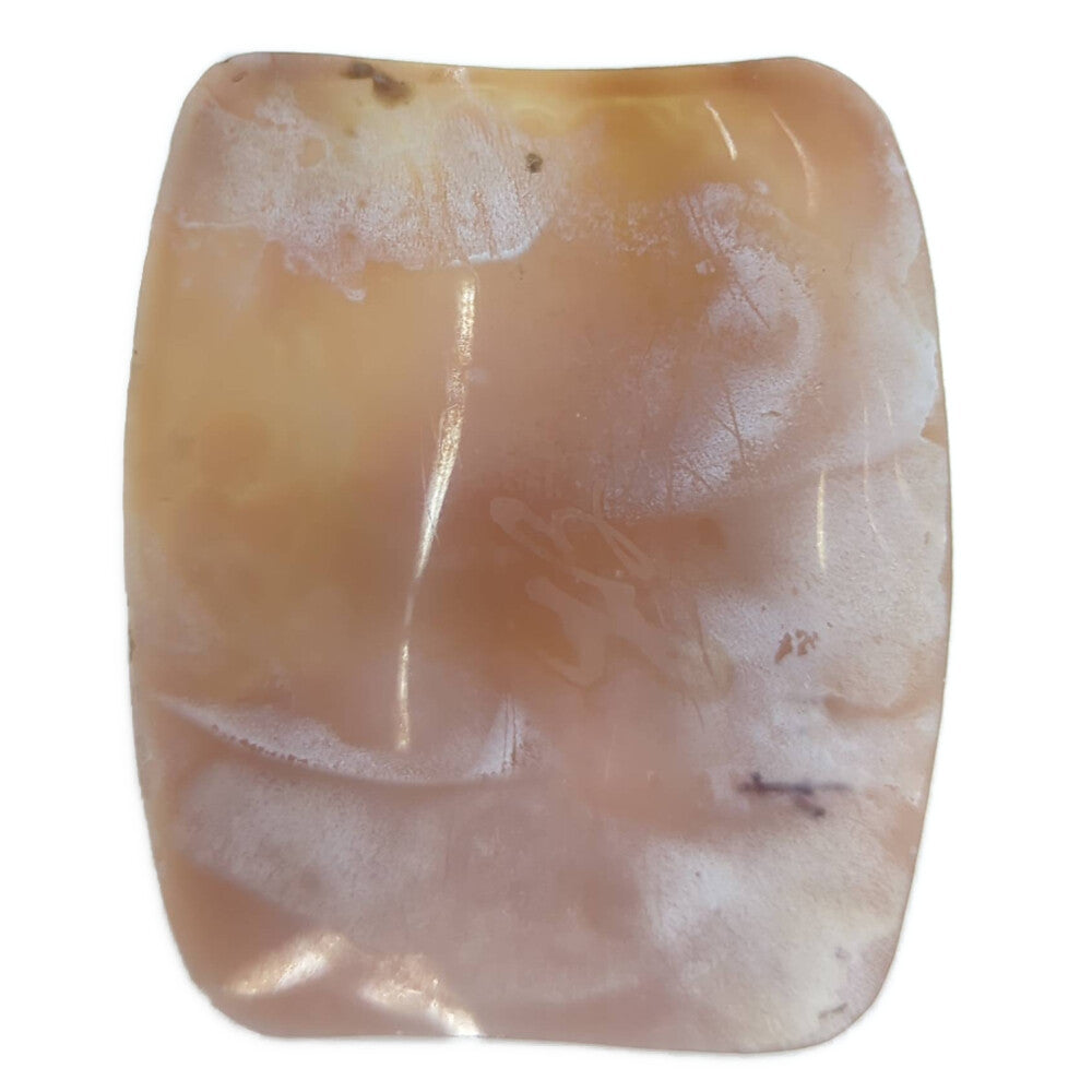 カメオ（シェル・ストーン） ルース