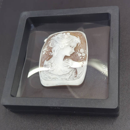 カメオ（シェル・ストーン） ルース