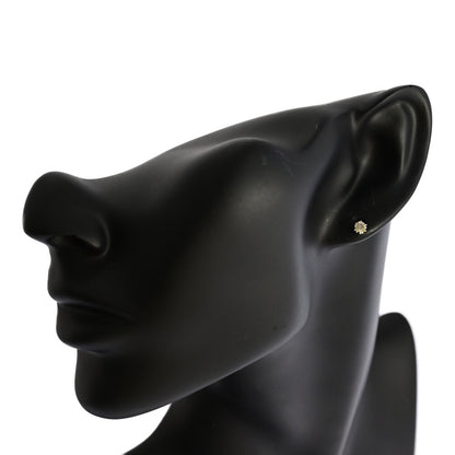 ダイヤモンド ピアス