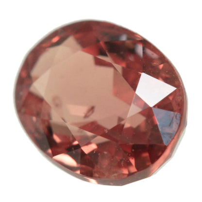 サファイア ルース