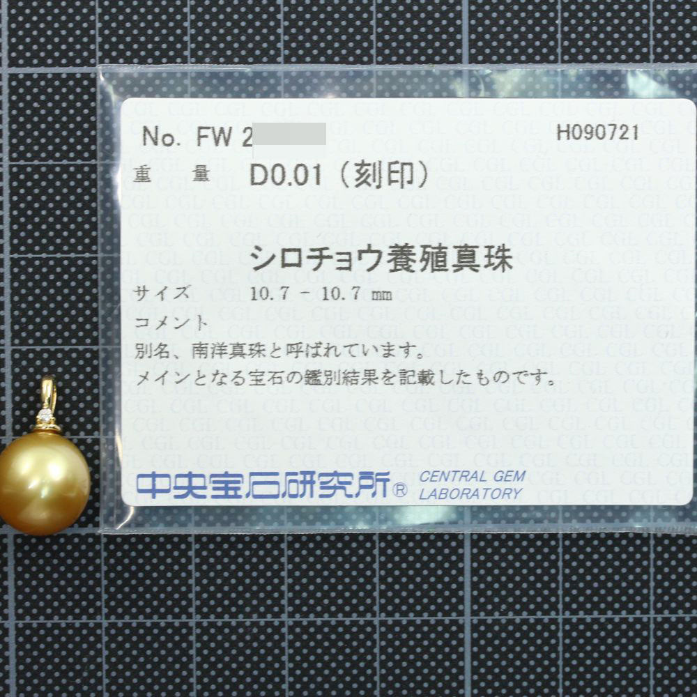 ノーブランド ペンダントトップ